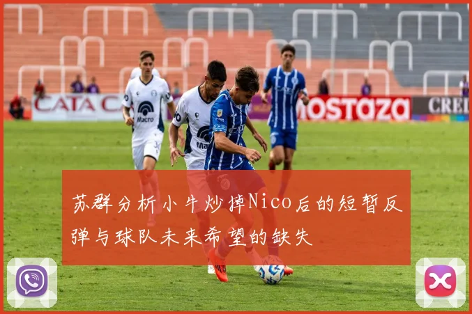苏群分析小牛炒掉Nico后的短暂反弹与球队未来希望的缺失