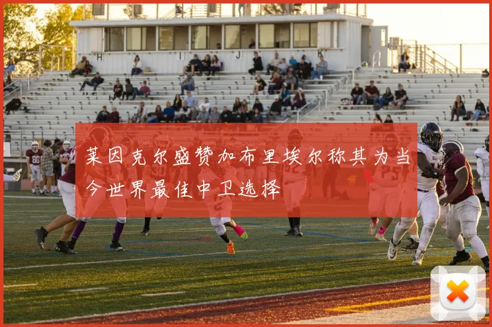 莱因克尔盛赞加布里埃尔称其为当今世界最佳中卫选择