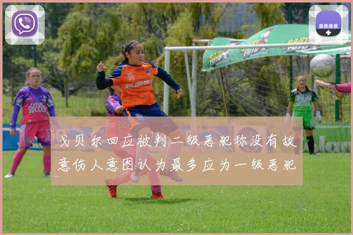 戈贝尔回应被判二级恶犯称没有故意伤人意图认为最多应为一级恶犯